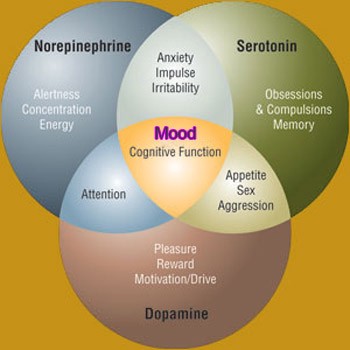 Сератонин, дофамин и норэпинефрин смешиваются, создавая ваше настроение